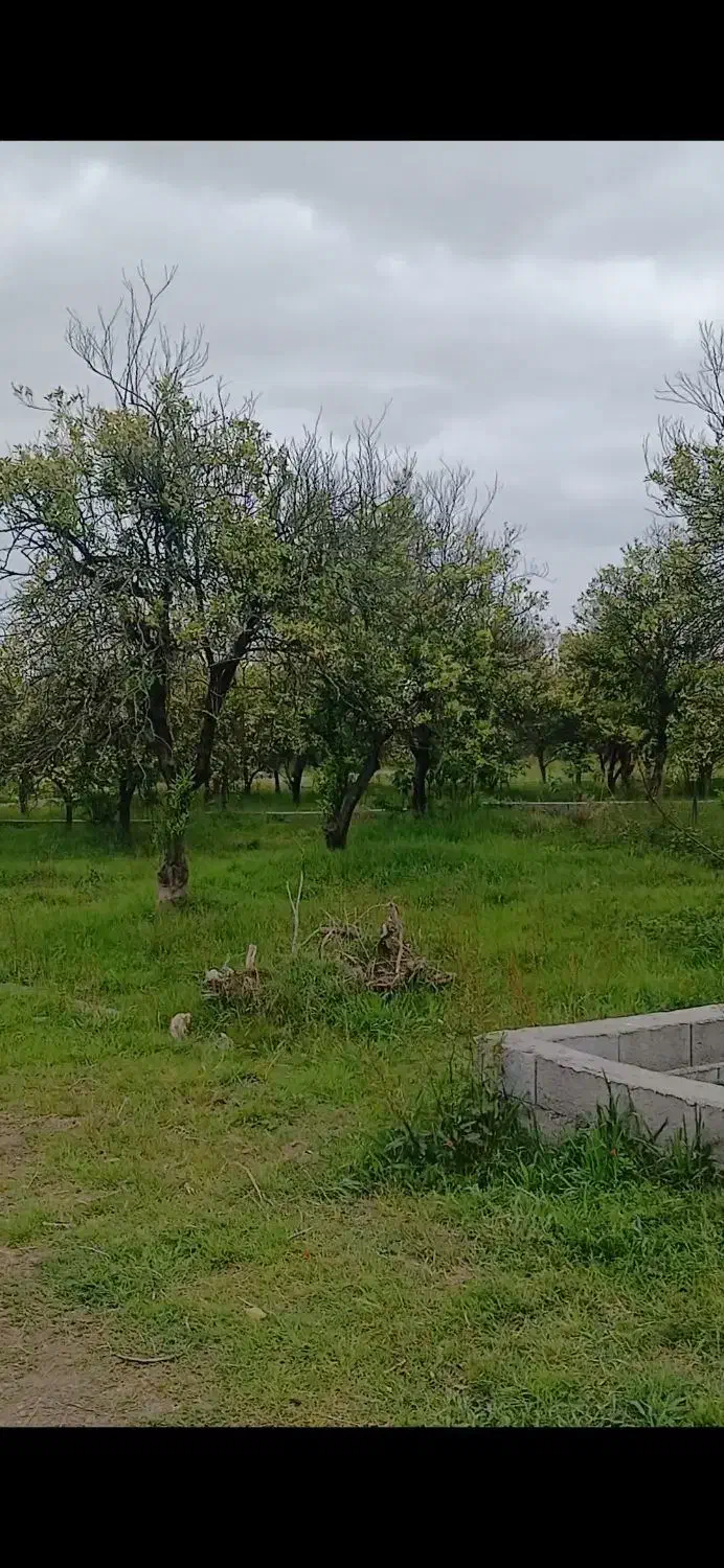 زمین ۲۰۰ متری نشتارود اماده به ساخت