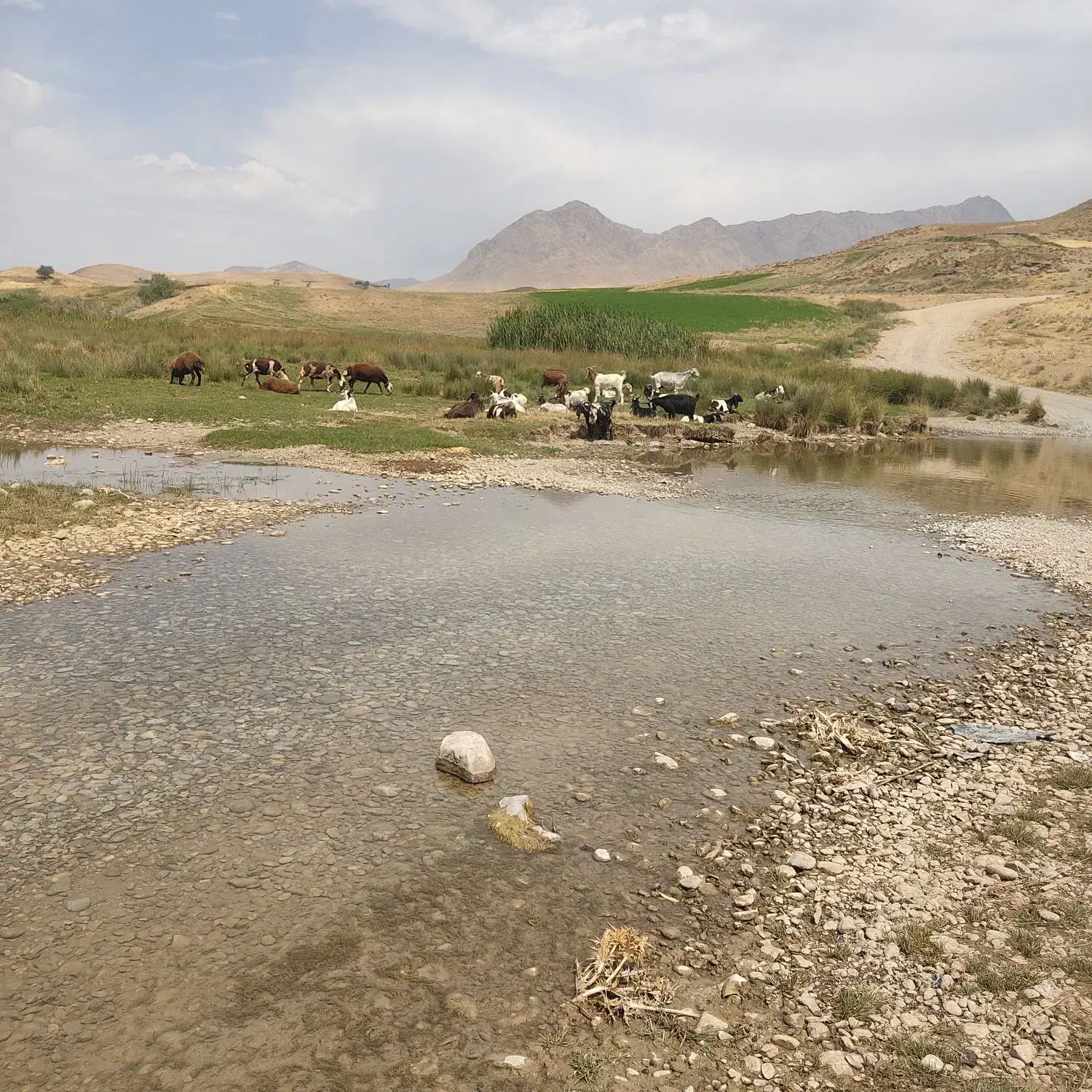 زمین مسکونی 200 متری