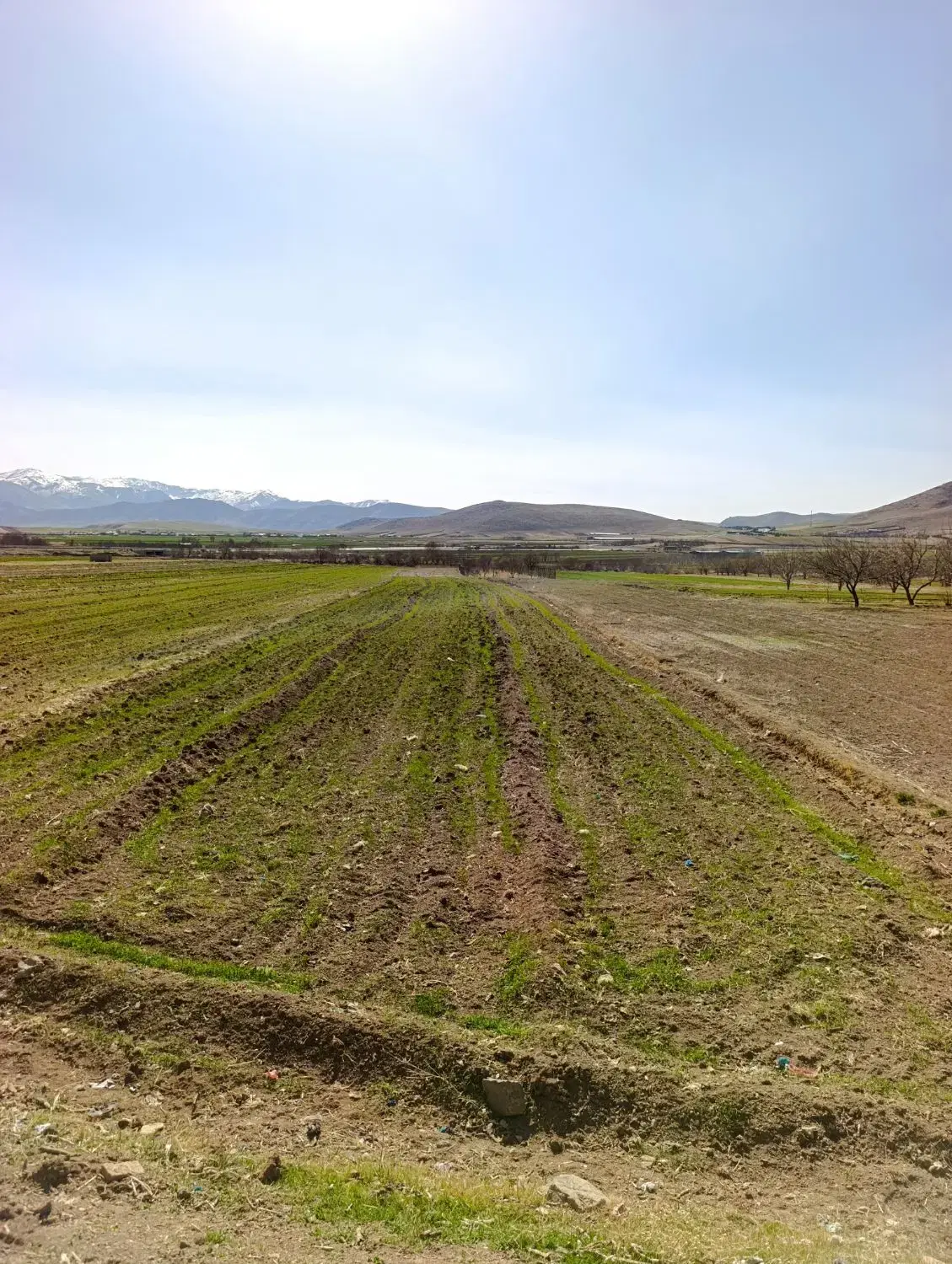 زمین روستای قورجیل