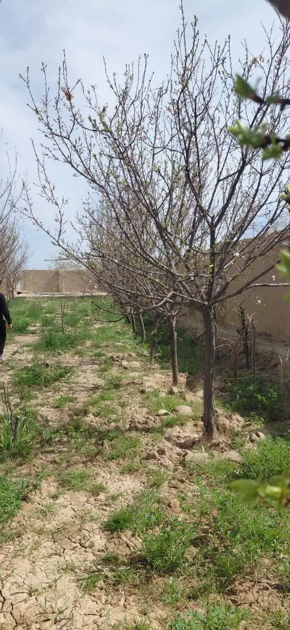 چهار دیواری