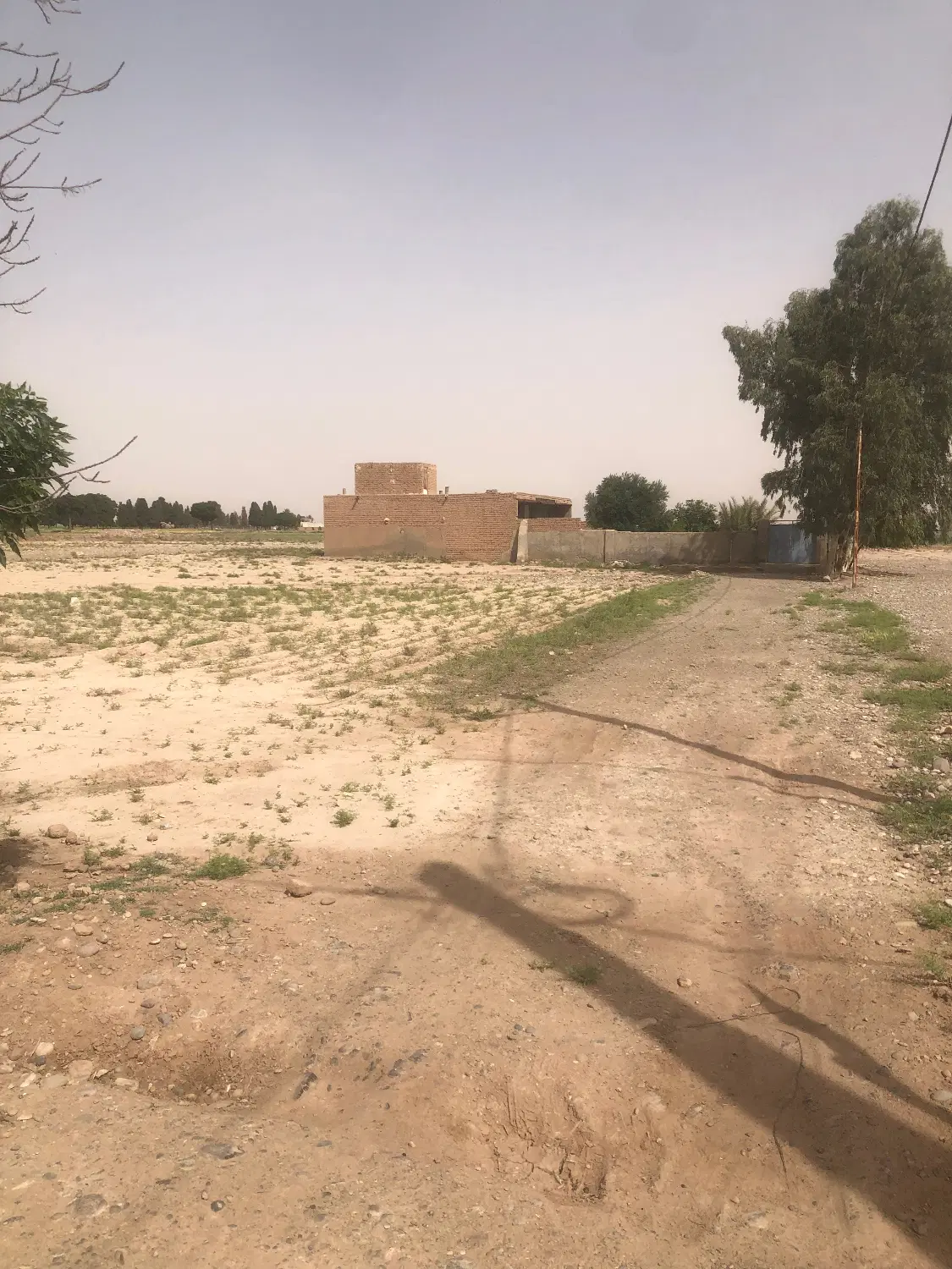 زمین کوشک