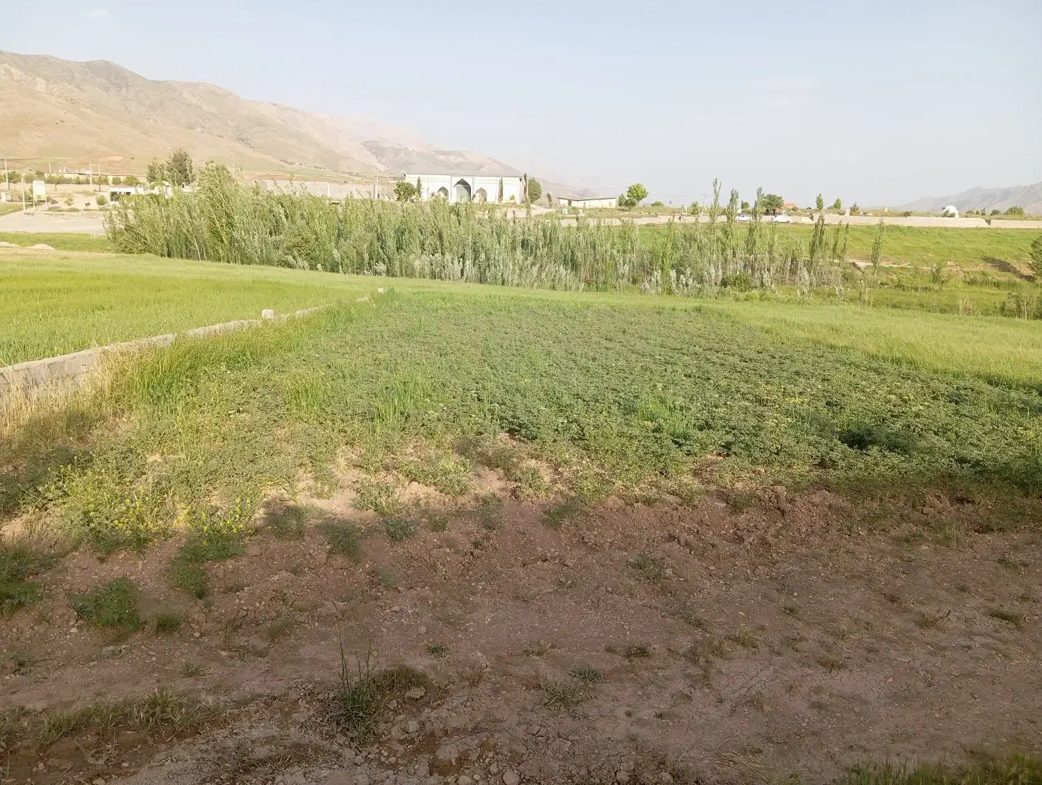 زمین کشاورزی