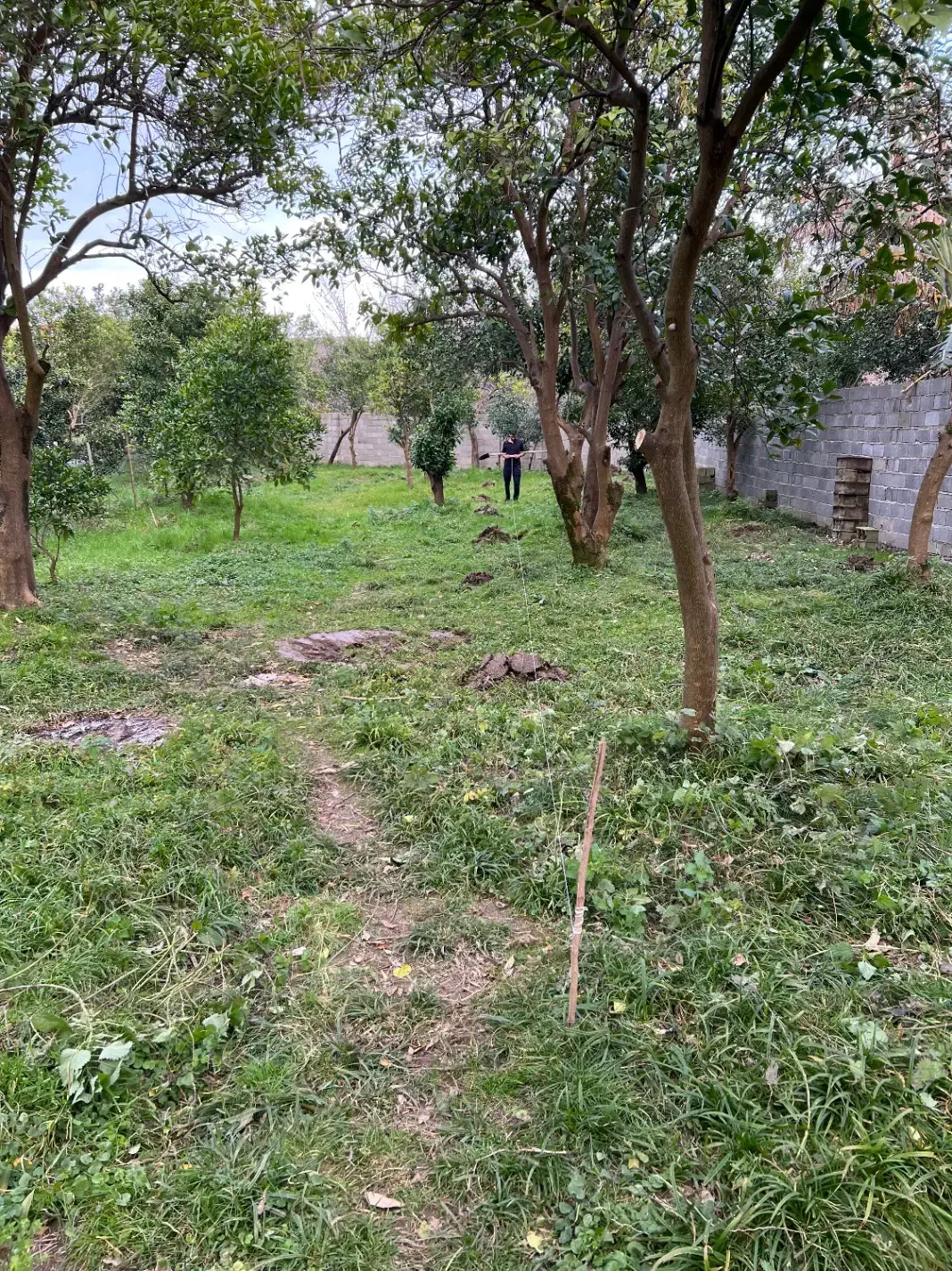 زمین گلیجان
