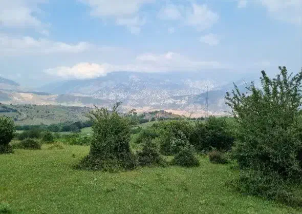 زمین با ویو ابدی