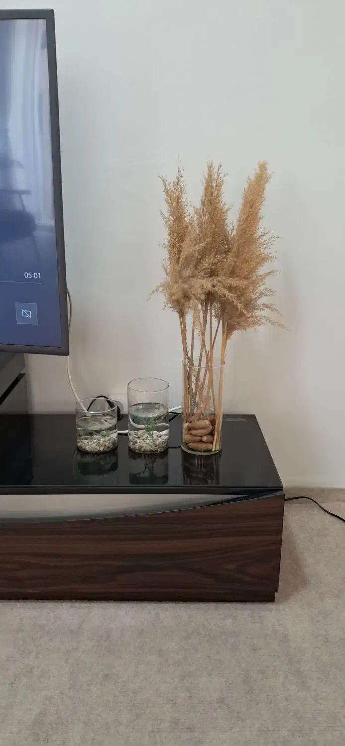 خانه ویلایی