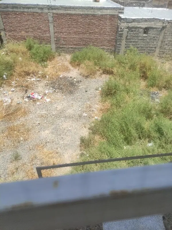 بندسراجی سند تک برگ