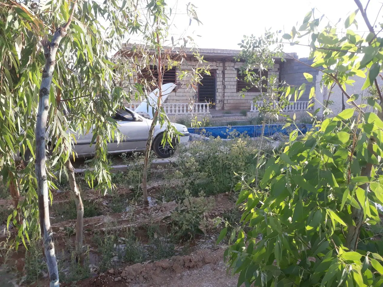 باغ۶۰۰متر سندتکبرگ زردنجان