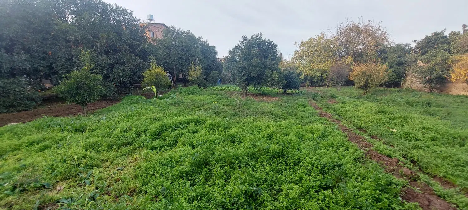 فروش زمین با کاربری مسکونی و دارای پروانه ساخت