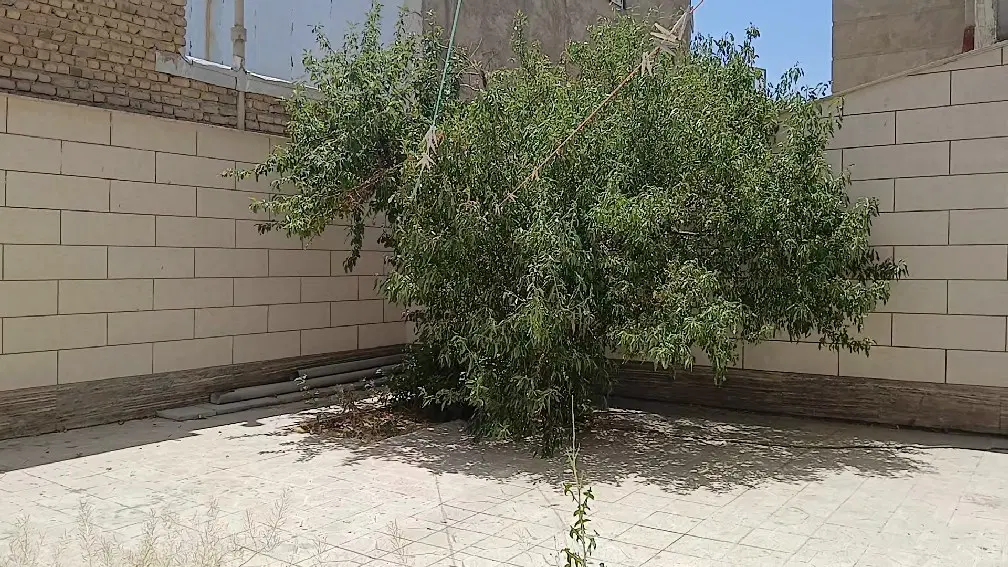 اجاره واحد مسکونی