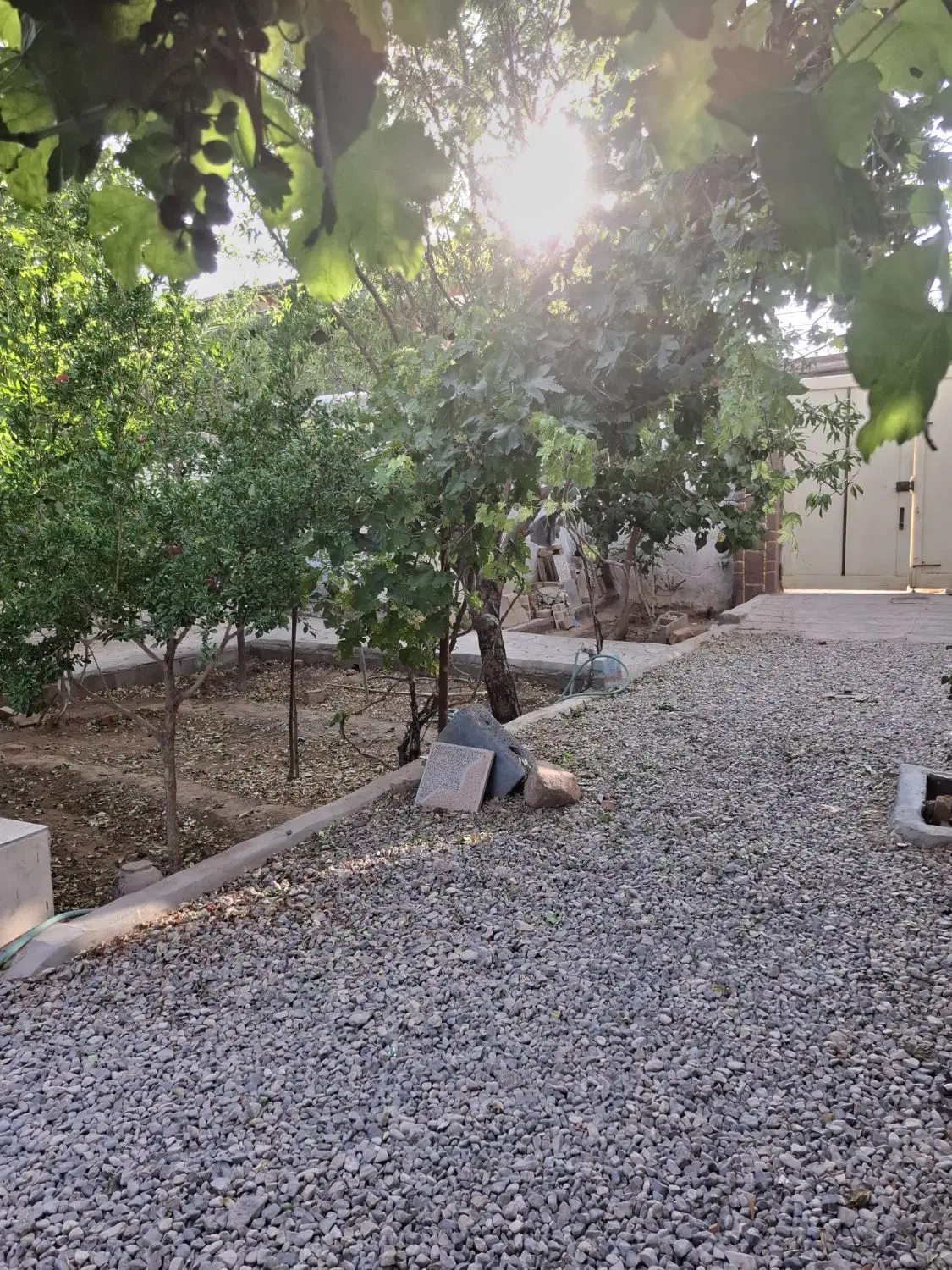 مغازه اجاره ای ازادشهر ۶۰ متر