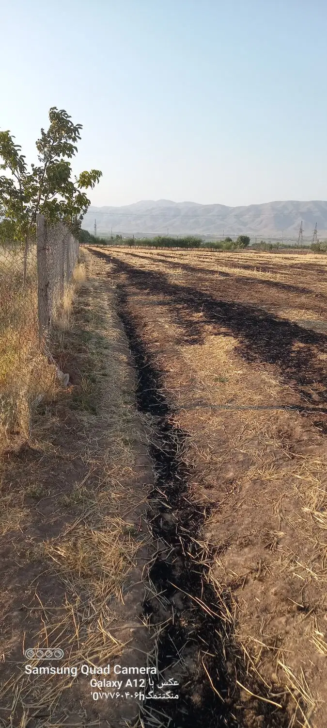 یک هکتار زمین