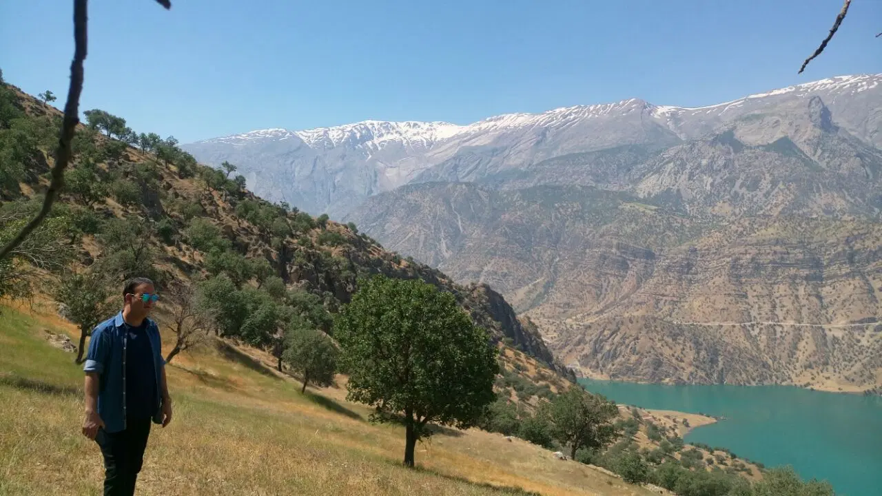 زمین