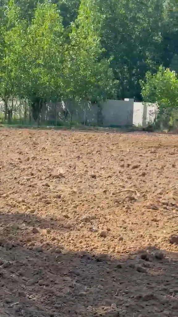 زمین برای فروش در صومعه سرا