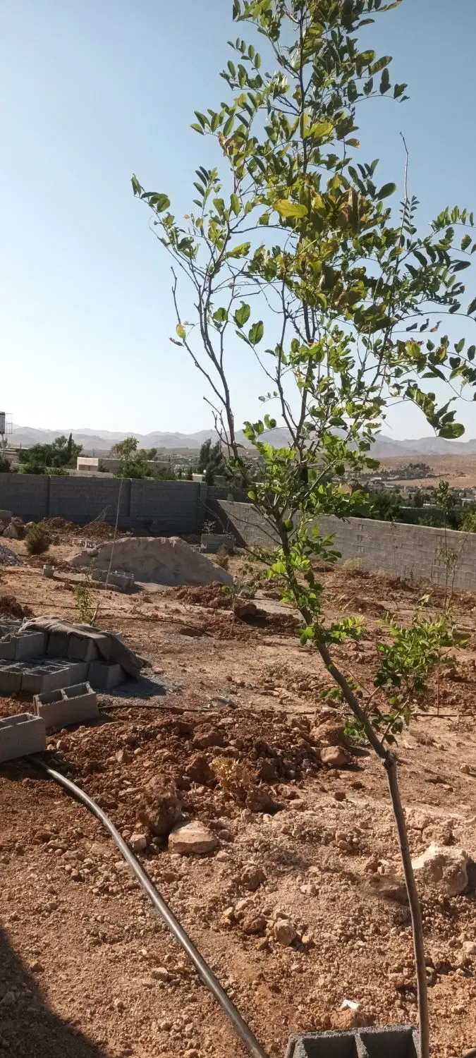 باغ۱۰۰۰متریf4خالدآباد