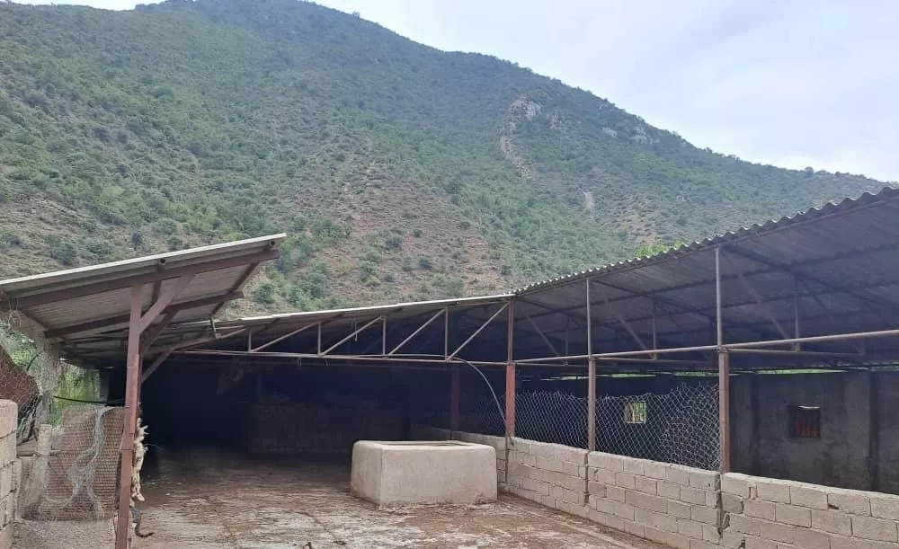 زمین باغی و دامداری مجوز دار