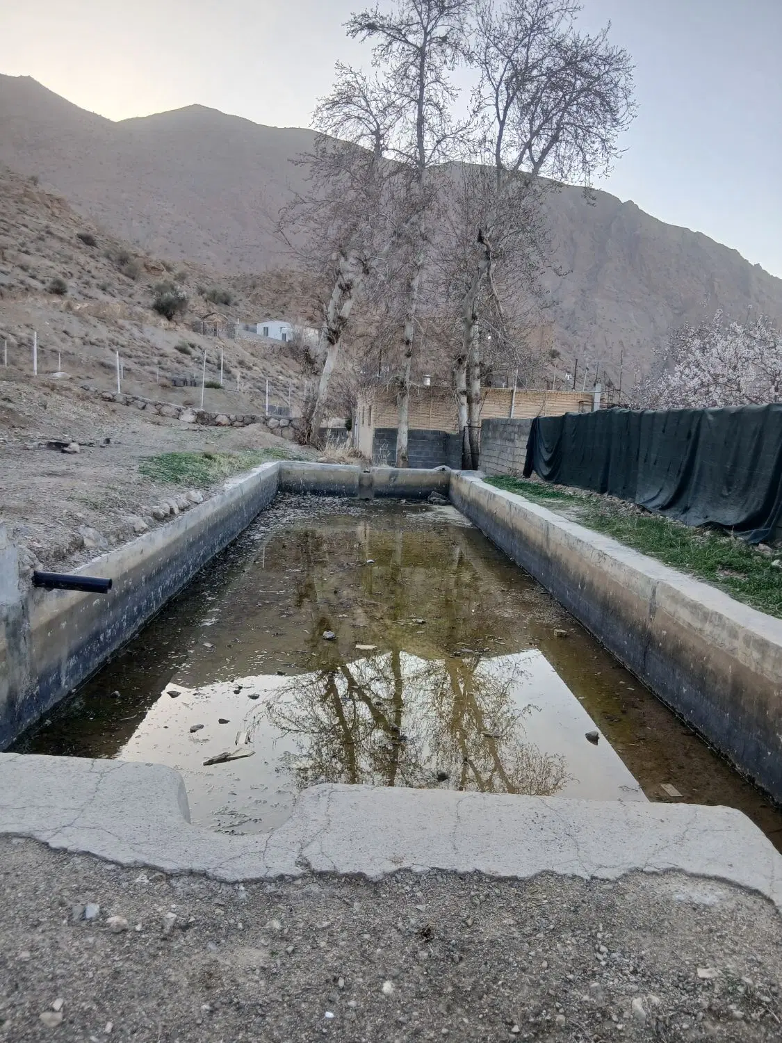 مزروعی.مسکونی