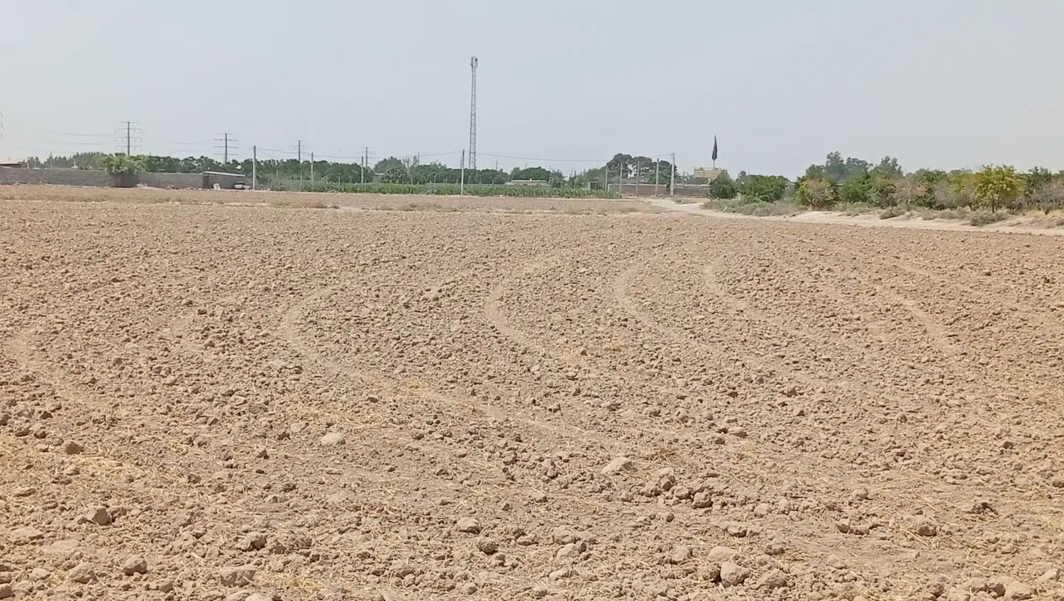 زمین باغی (کشاورزی )