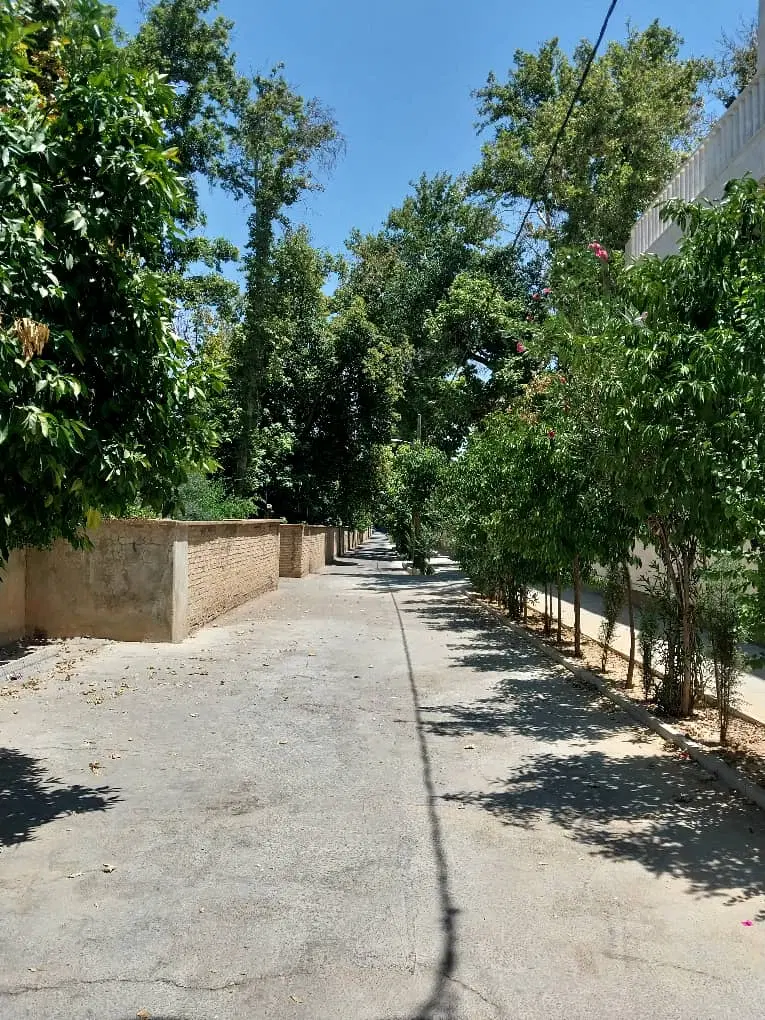 زمین 250 متر مولانا کوچه دنج سرسبز
