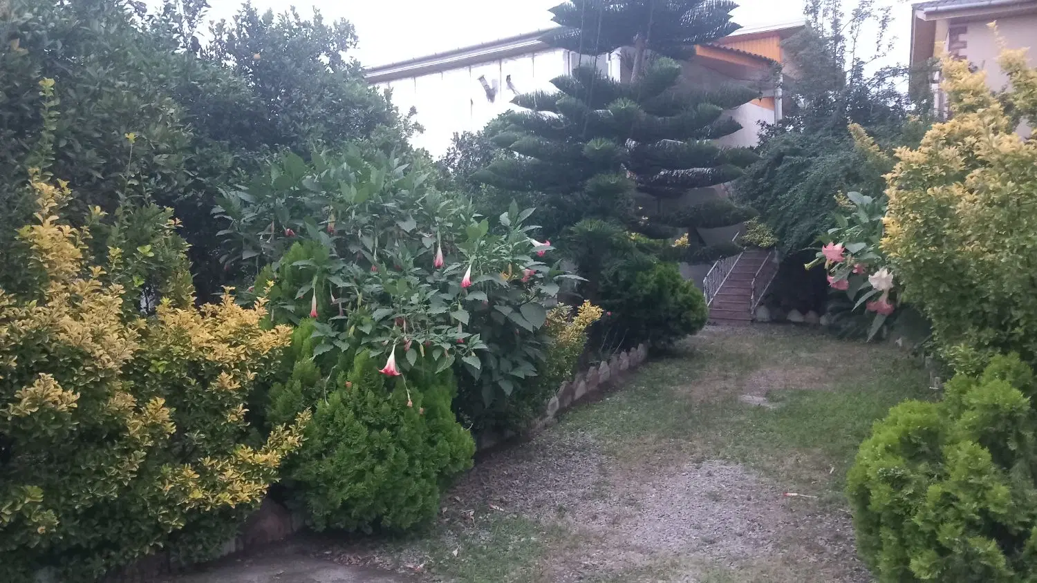 خانه طبقه همکف