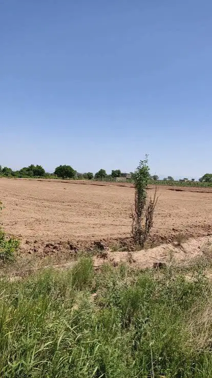 اجاره 8هکتار زمین کشاورزی خیر اباد