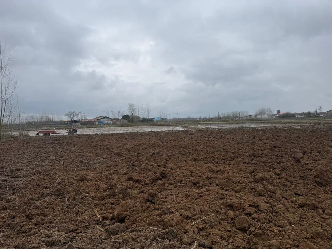 فروش زمین باغی کرگان