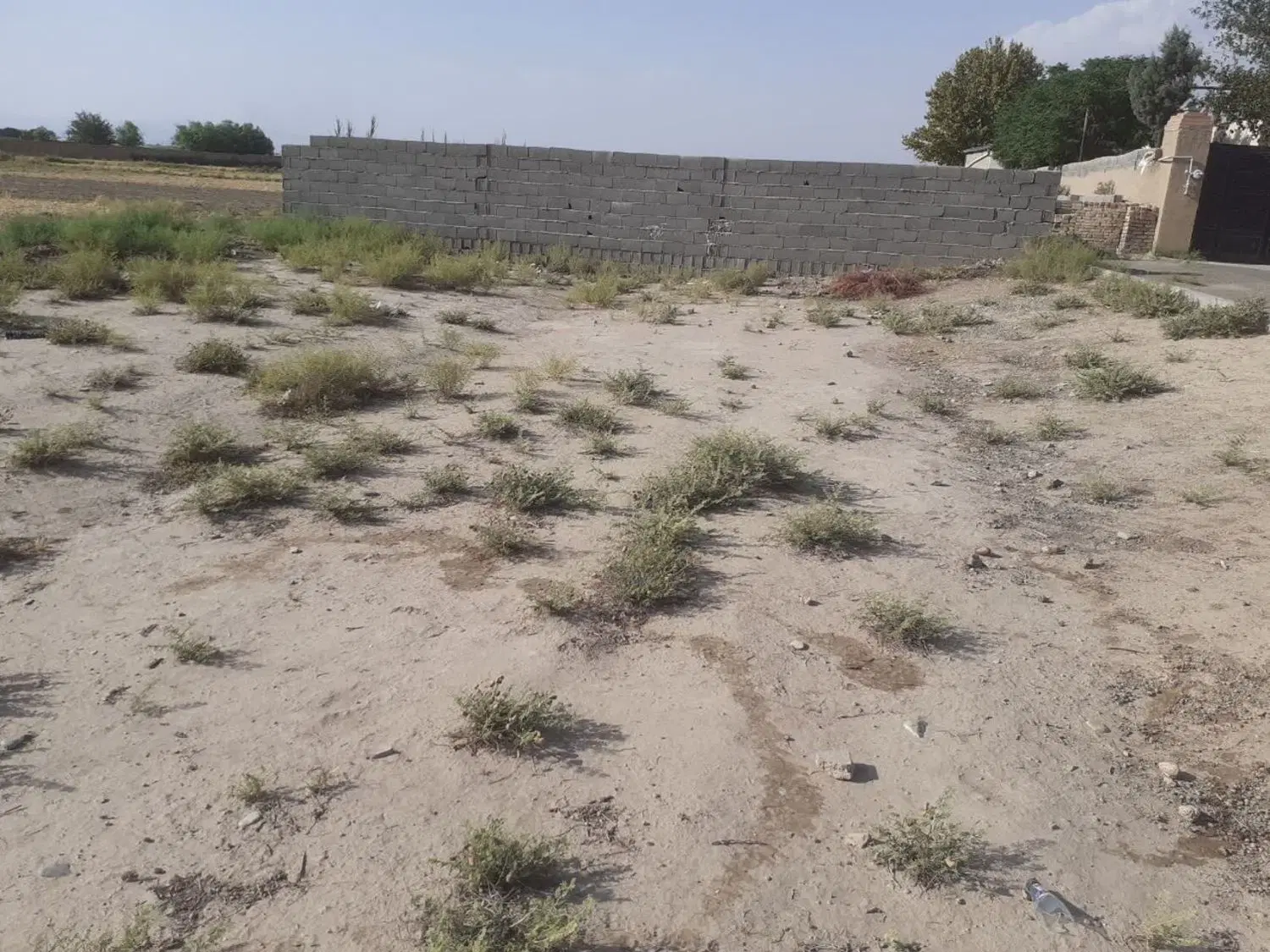 زمین