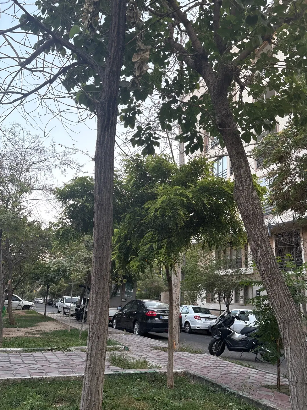 فروش آپارتمان ۱۲۳ متری نارمک