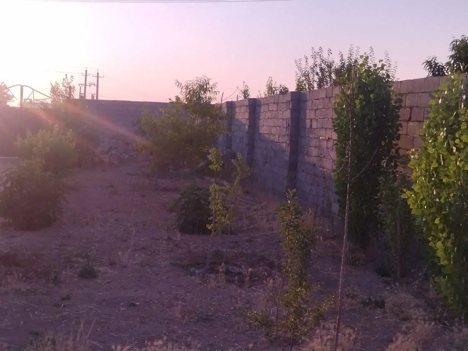 باغ مثمر ۵۲۰ متر (الهیه)