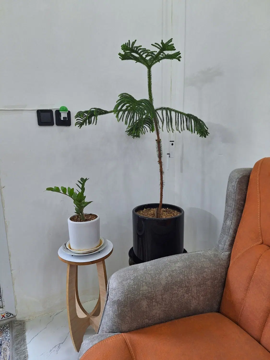 خانه اجاره ای خیابان مدرس محله کشتان صاحب زمان 23