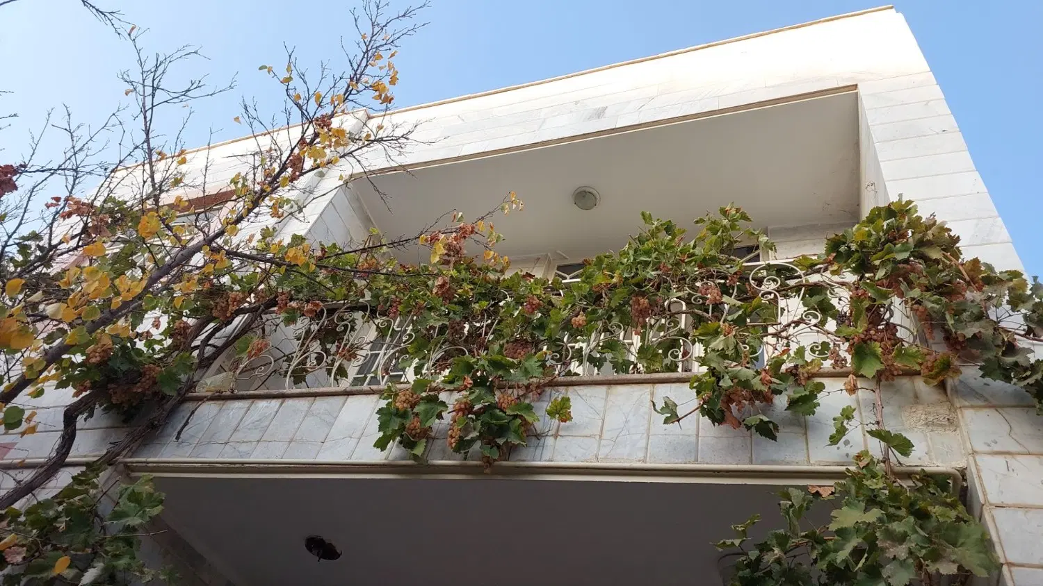 رهن و اجاره مسکونی