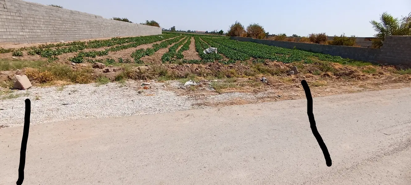 فروش زمین باغچه