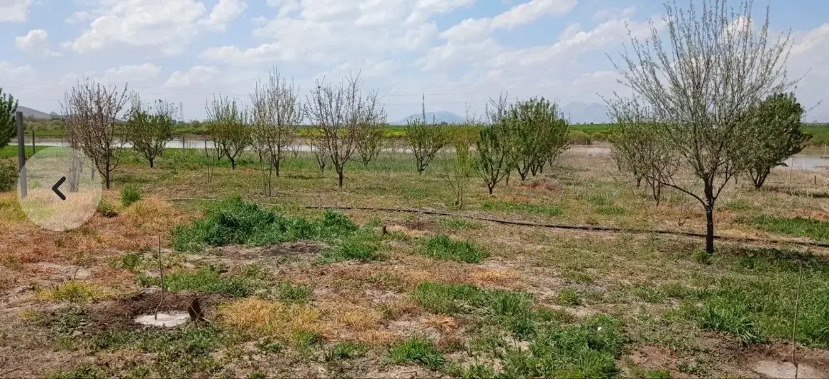 باغ سراب خشکه پایین بعد از کهریز الهیه