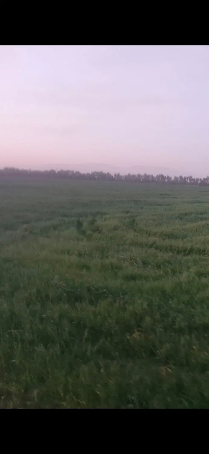 اجار یکسال زمین کشاورزی آبی آیش خورده