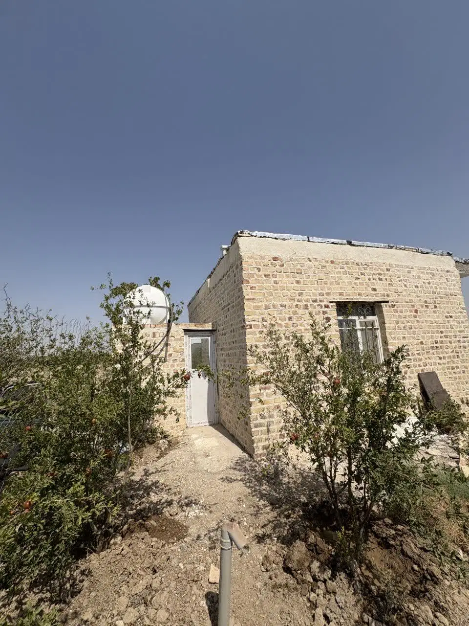 باغچه ویلا 600 متری