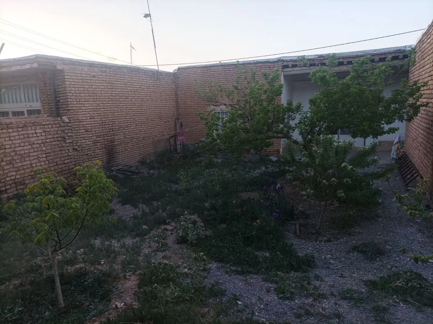 خانه کلنگی تمیز در دامنه