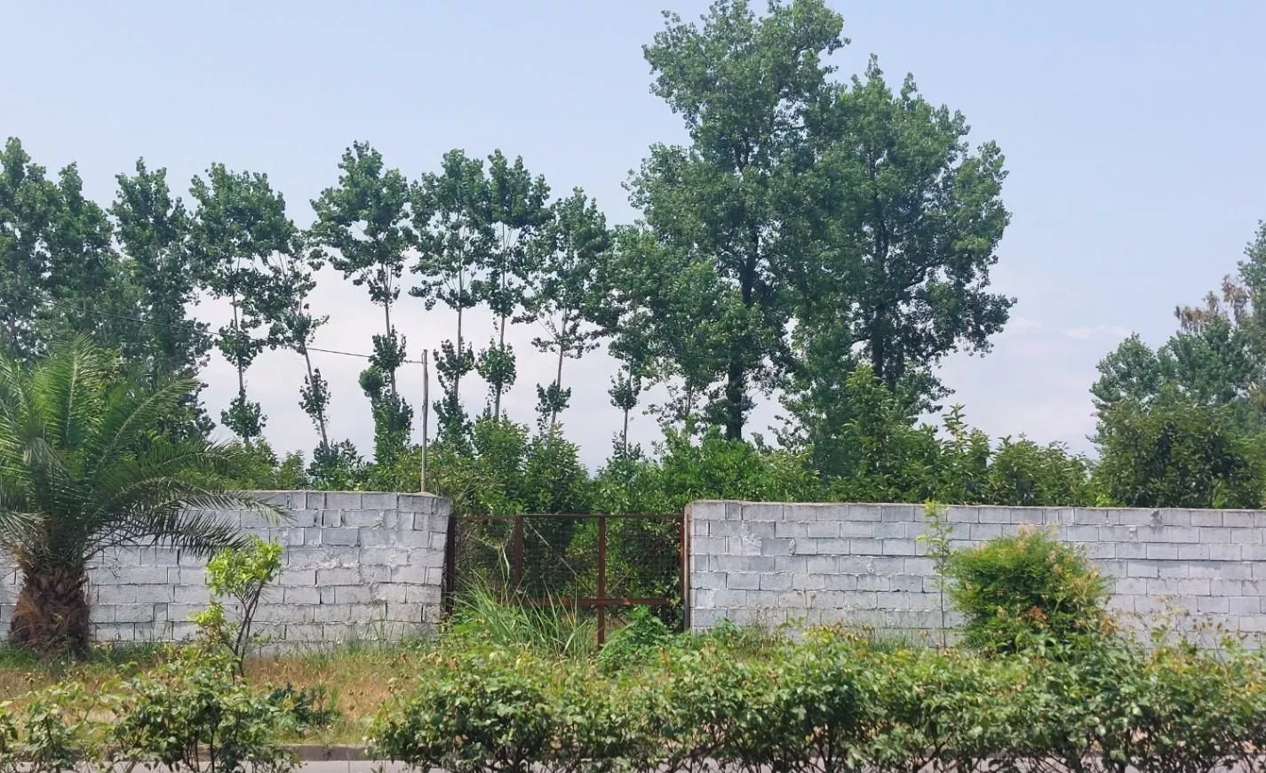۷۵۰ متر ملک اعیانی با ۱۴متر بر تجاری، فردوسی غربی
