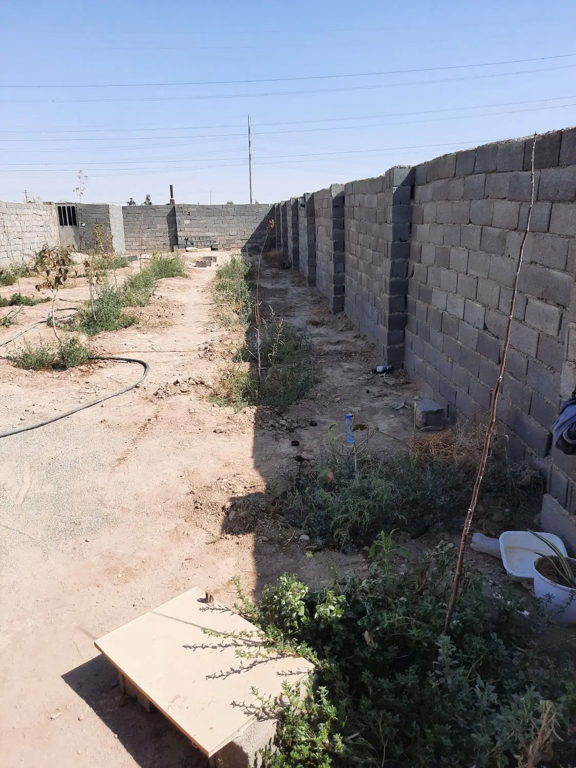 فروش باغچه