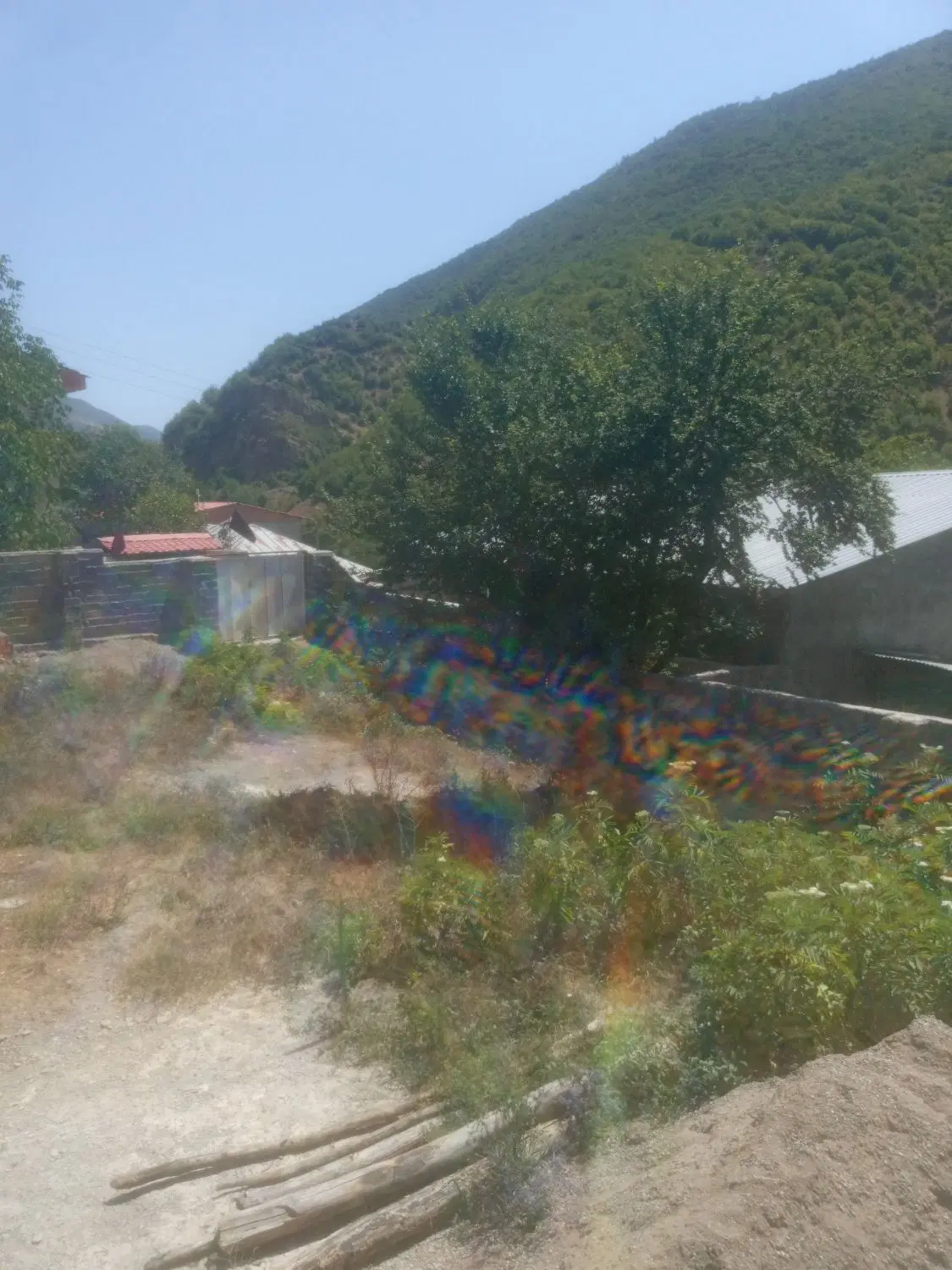 فروش زمین کشاورزی مازندران