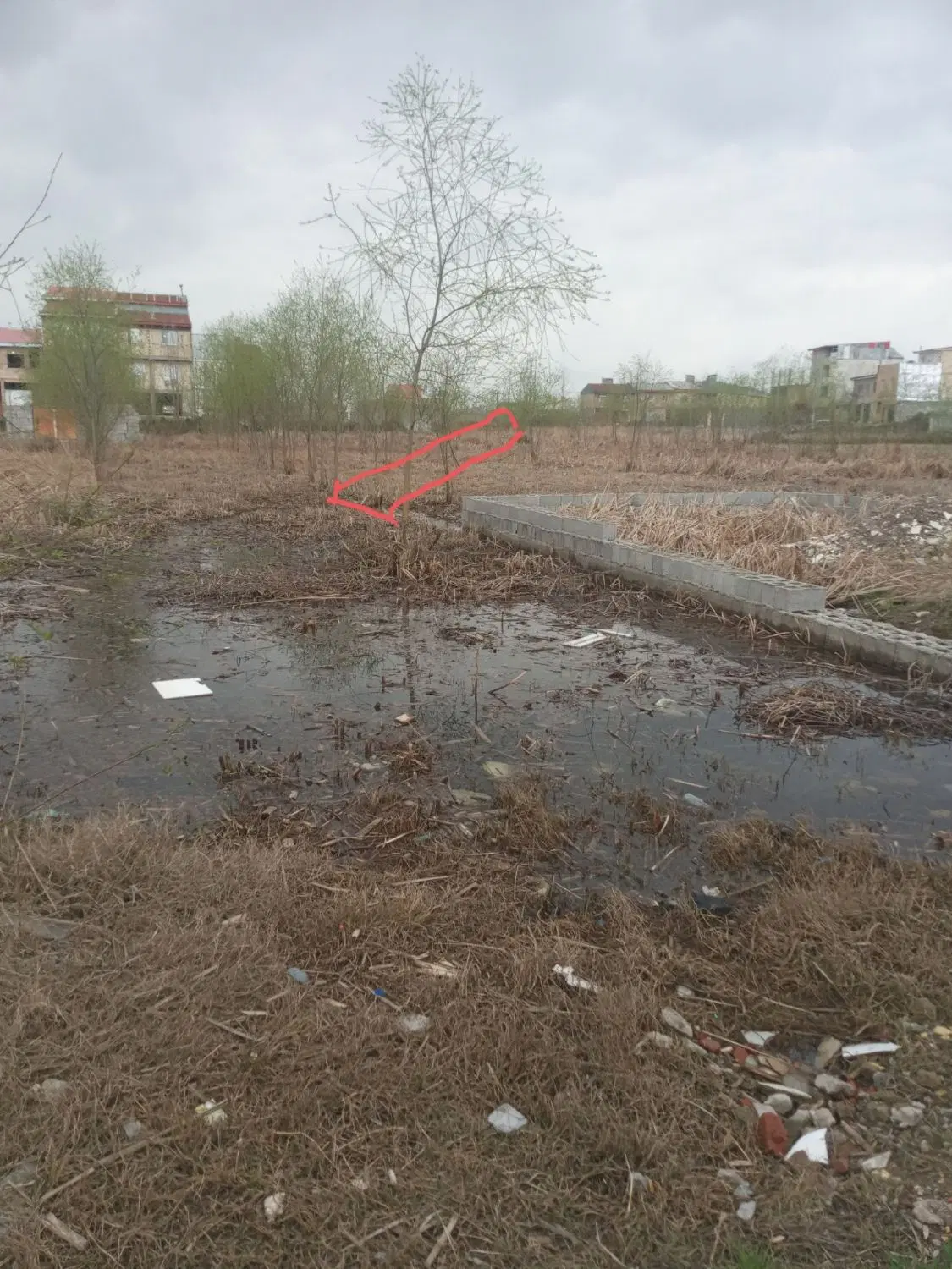 زمین نسقی دارای تیربرق و کد پستی خیابان هنرپرور۱