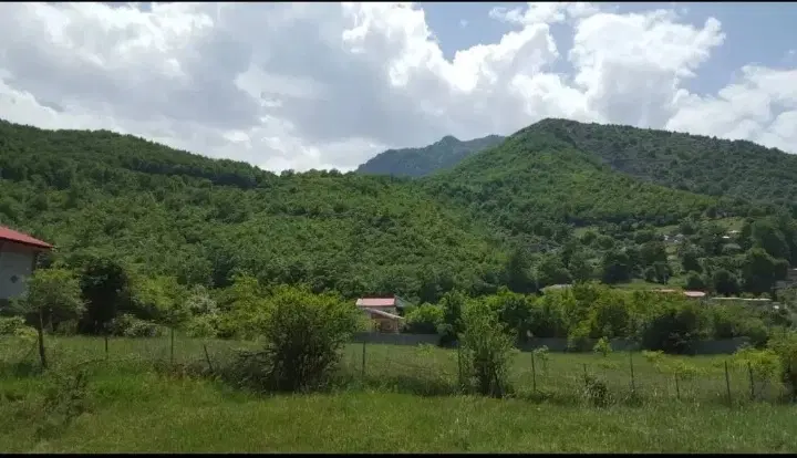 زمین باغی