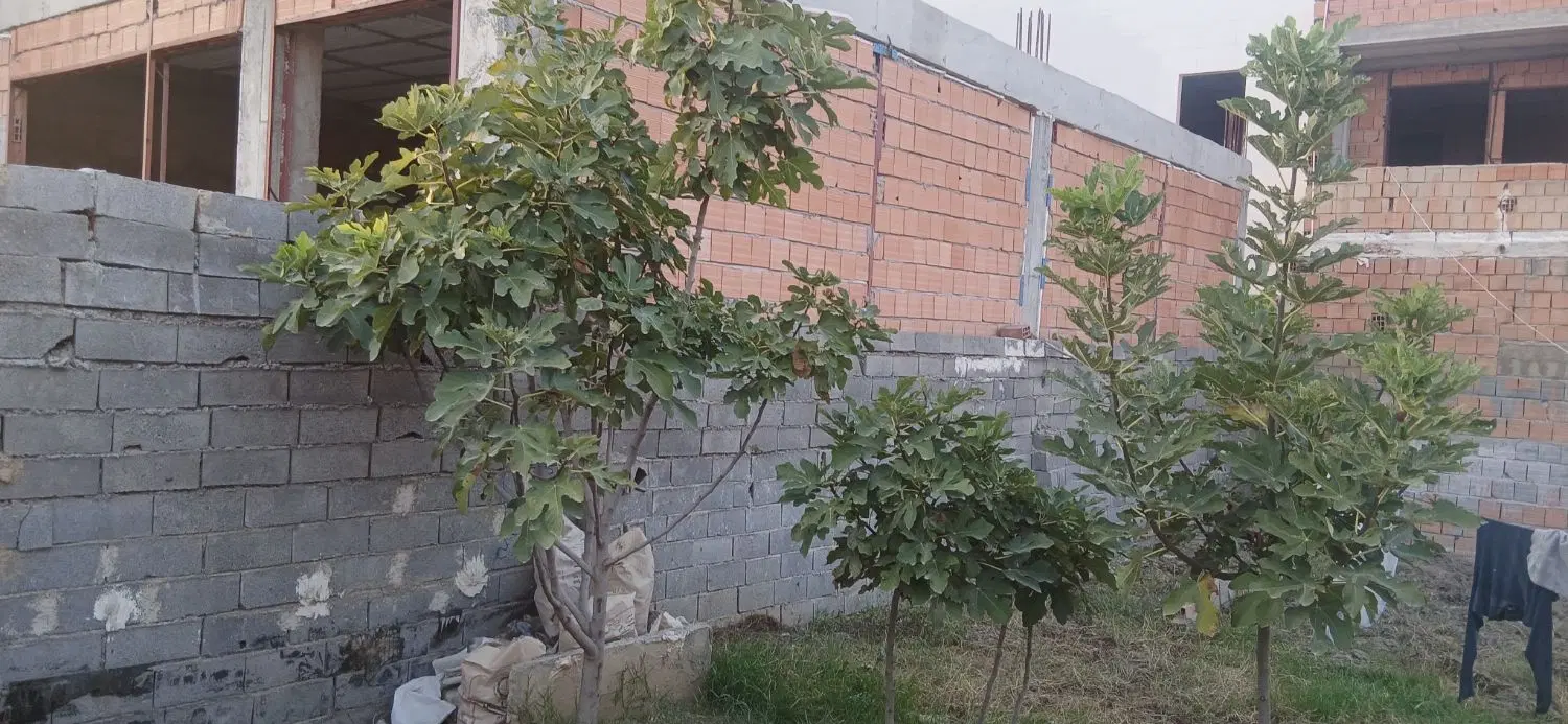 چهار دیواری داخل طرح روستا