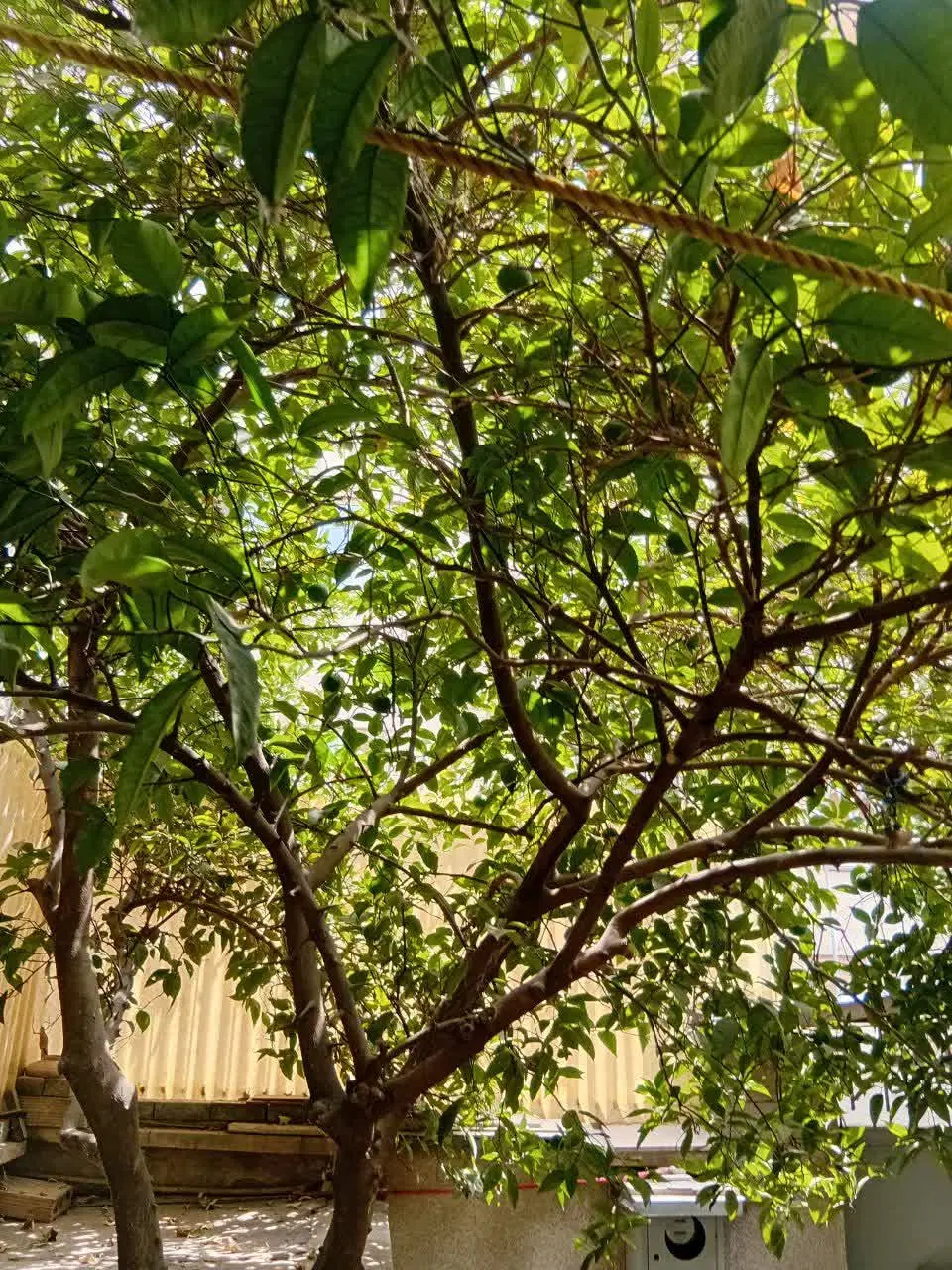 فروش ملک کلنگی ۱۰۸ متری