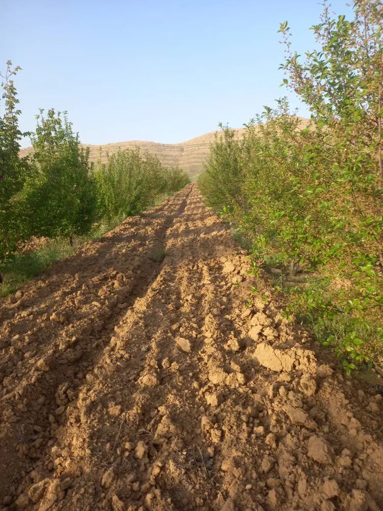 پلاک باغشهری ۱۰۶۰ متری + سند تک برگ+ آب.برق.نگهبان