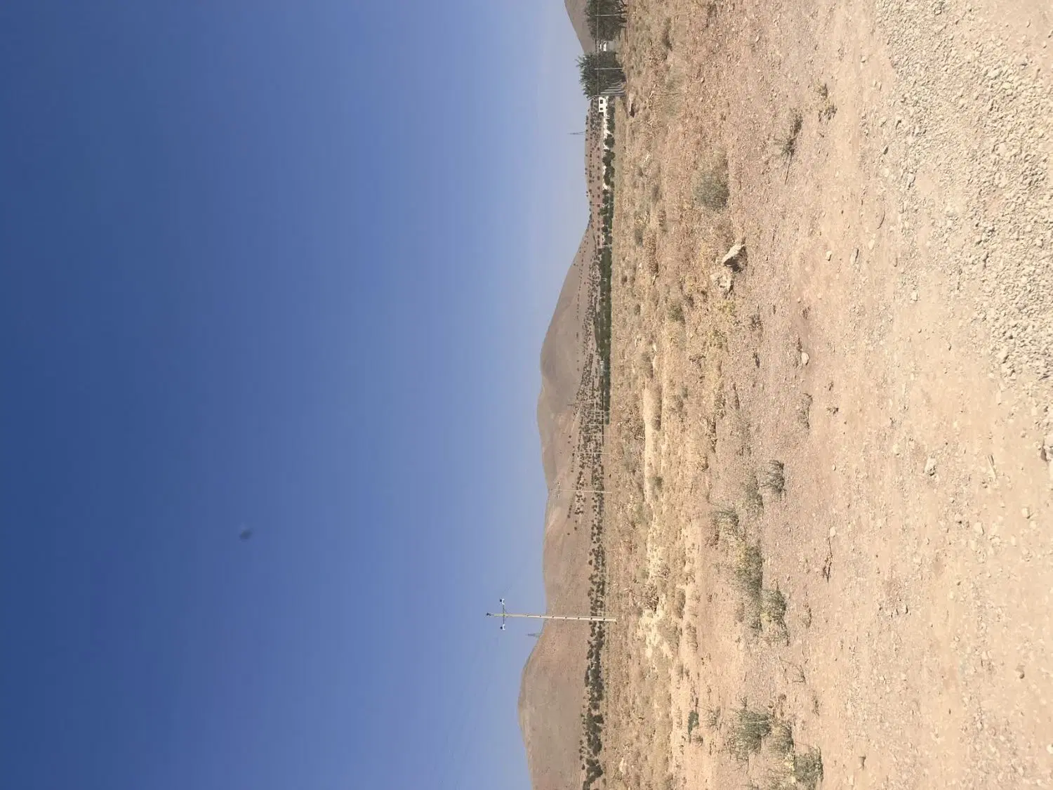 زمین باغی