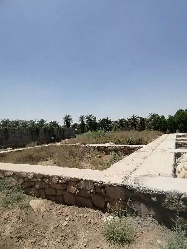 فروش فوری زمین در مینوشهر