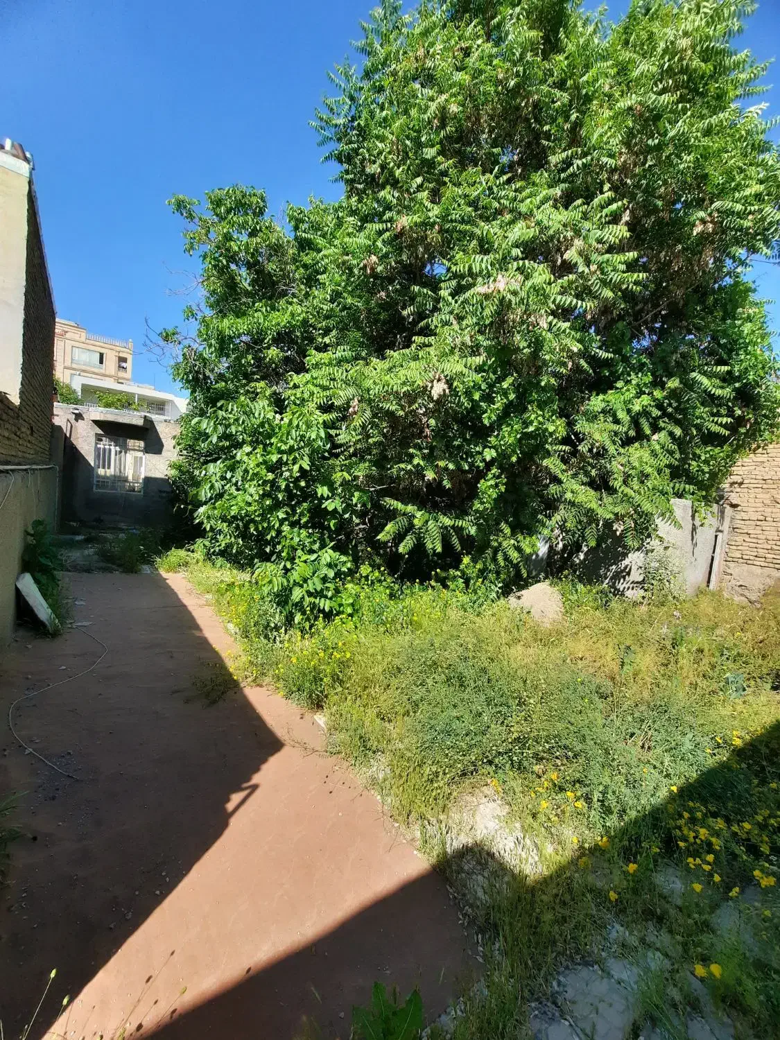 زمین مسکونی