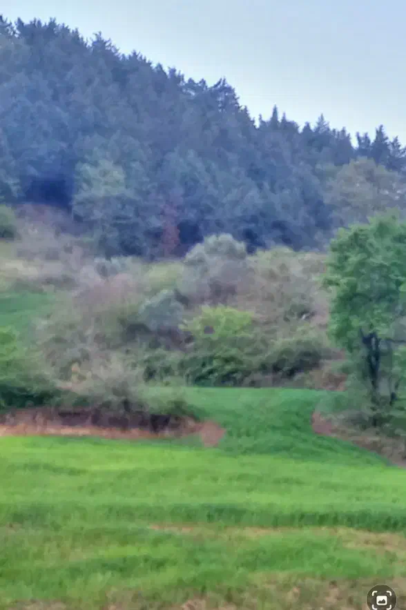 زمین مسکونی