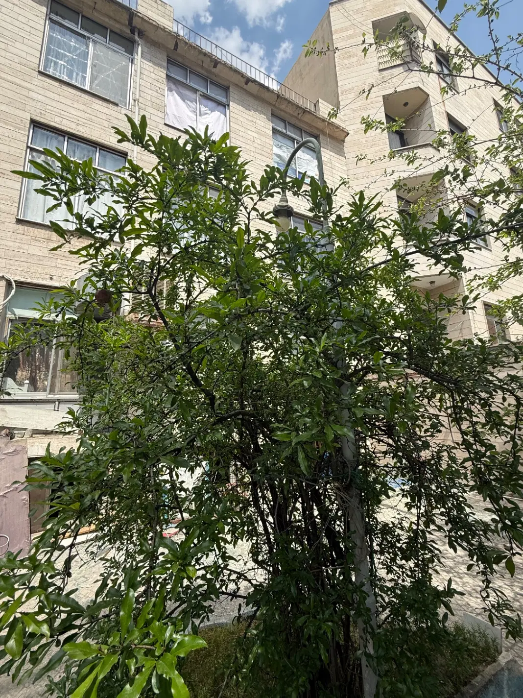 خانه کلنگی وویلایی