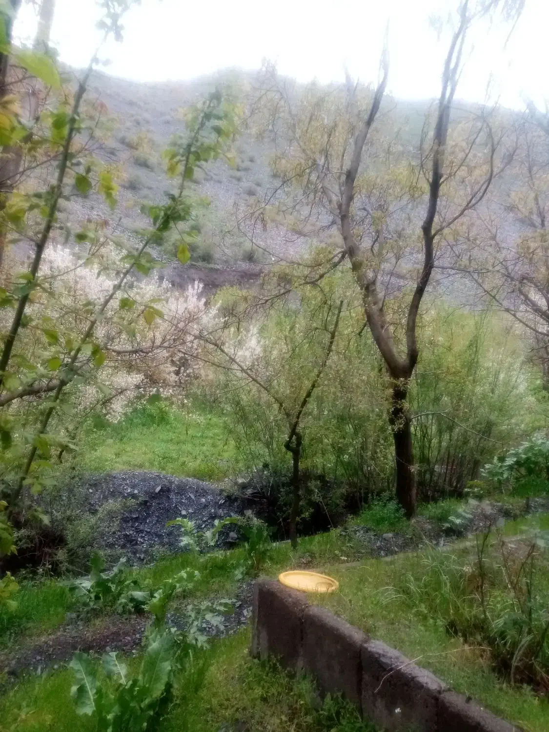 فروش باغ