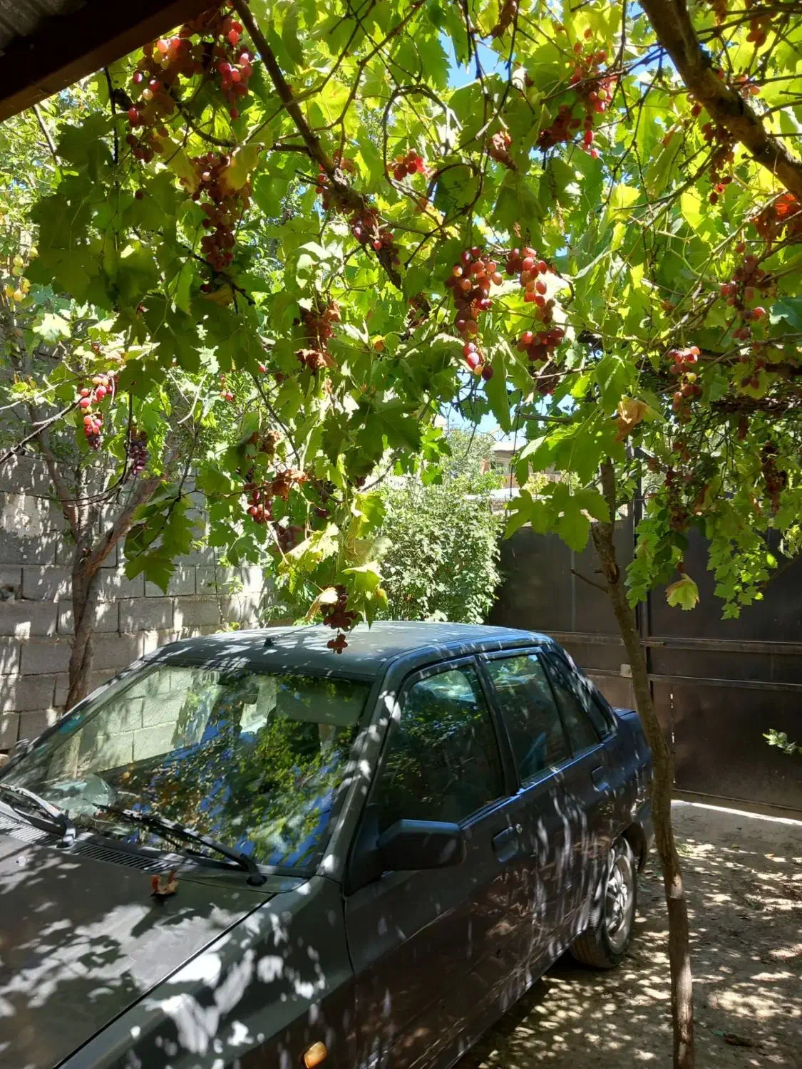 خونه شناژبندی ویلایی